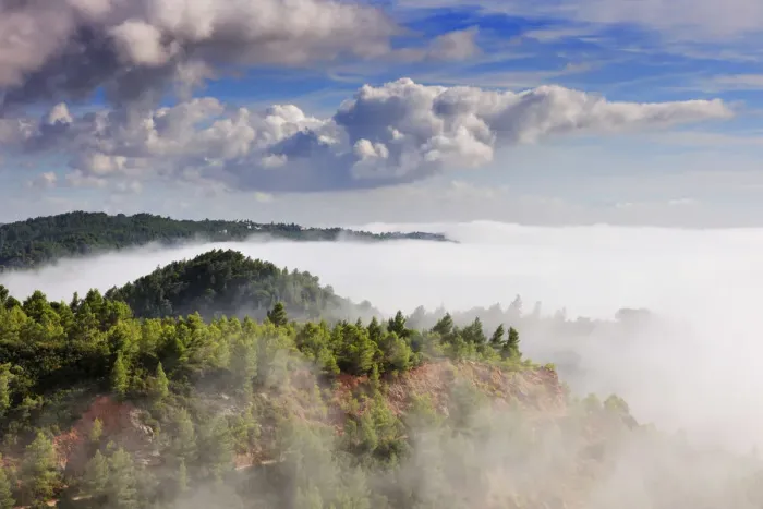 Framed Print : Arrabida Natural Park in a foggy morning. Portugal