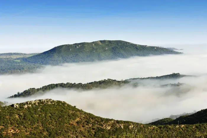 Framed Print : Arrabida Natural Park in a foggy morning. Portugal