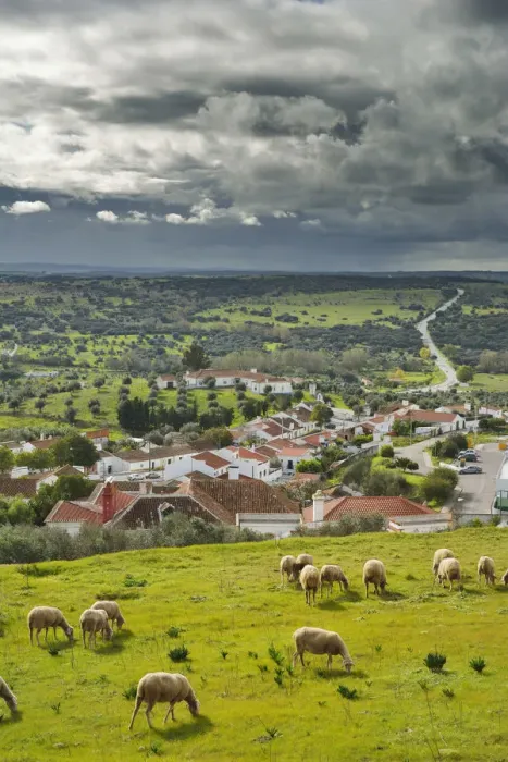 Framed Print : Arraiolos, Portugal