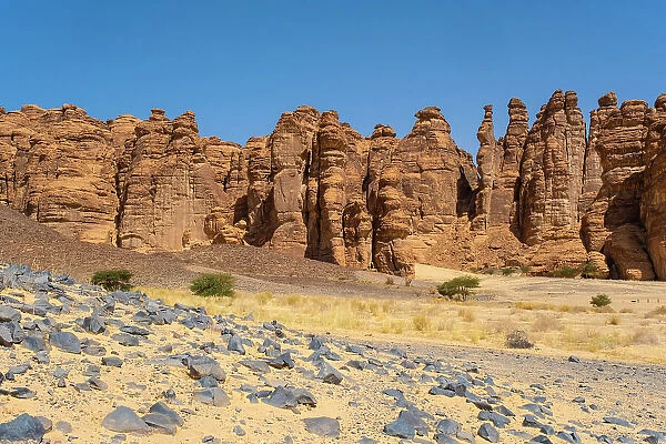 Ashar Valley, Al-Ula, Medina Province, Saudi Arabia