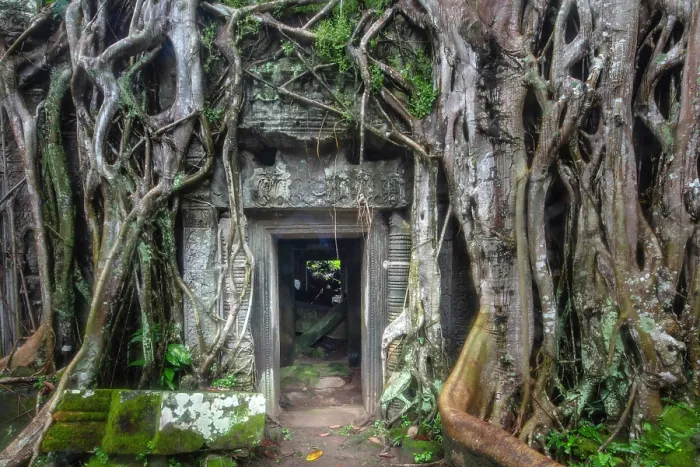 Framed Print : Asia, Cambodia, Siem Reap, Angkor, Ta Prohm temple builts in the late 12th and early 13th centuries and originally called Rajavihara Framed Print : Asia, Cambodia, Siem Reap, Angkor, Ta Prohm temple builts in the late 12th and early 13th centuries and originally called Rajavihara
