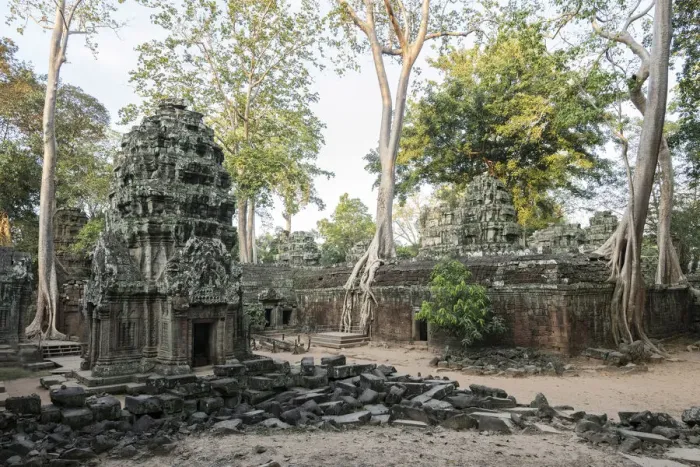 Framed Print : Asia, Cambodia, Siem Reap, UNESCO, World Heritage, Angkor, Ta Prohm Framed Print : Asia, Cambodia, Siem Reap, UNESCO, World Heritage, Angkor, Ta Prohm