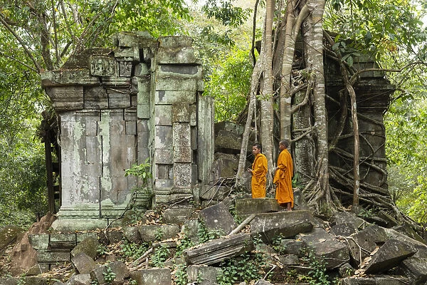 Asia, Cambodia, Siem Reap, UNESCO World Heritage, Angkor, Beng Mealea, (DM)