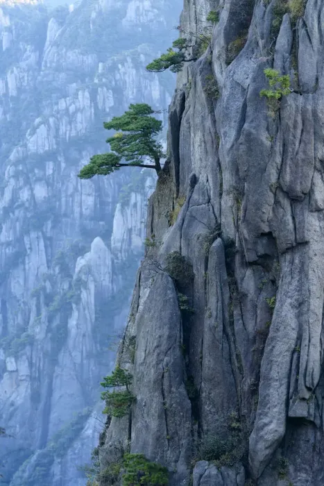 Framed Print : Asia, China, Anhui Province, Mount Huangshan, UNESCO, Yellow Mountain, rock wall Framed Print : Asia, China, Anhui Province, Mount Huangshan, UNESCO, Yellow Mountain, rock wall