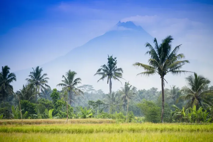 Framed Print : Asia, Indonesia, Java, Yogyakarta, Merapi Volcano, rice farmer in front of the mountain Framed Print : Asia, Indonesia, Java, Yogyakarta, Merapi Volcano, rice farmer in front of the mountain
