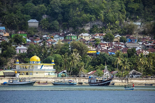 Asia, Indonesia, Spice Islands, Maluku, Banda, Rhun island showing the islandA¢€™s only town. Rhun is also know as Run, Pulau Run, Pulo Run or Puloroon and has been a British (under Captain Nathaniel Courthope) and a Dutch colony