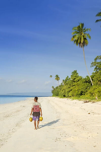Asia, Indonesia, Spice Islands, Seram, Manawoka island, a local man carrying coconuts