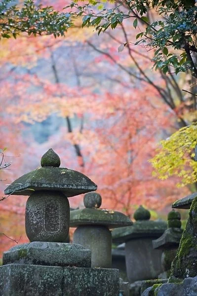 Asia, Japan. Kyoto, Sagano, Nison in (Nisonin) Temple, (834), stone lantern amongst red autumn leaves