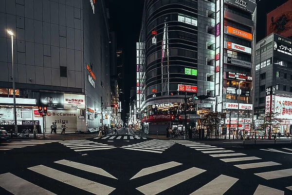 Asia, Japan, Tokyo, Shinjuku, Kabukicho neon signs and crowd