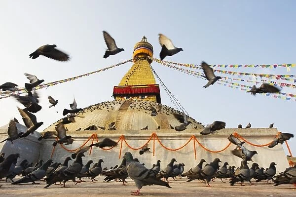 Asia, Nepal, Kathmandu, Kathmandu Valley, Boudhanath, Boudha Stupa, (Chorten Chempo)