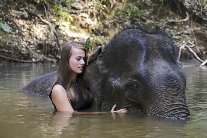 Framed Print : Asia, South East Asia, Cambodia, Mondulkiri, Elephant Sanctuary, woman volunteer Framed Print : Asia, South East Asia, Cambodia, Mondulkiri, Elephant Sanctuary, woman volunteer