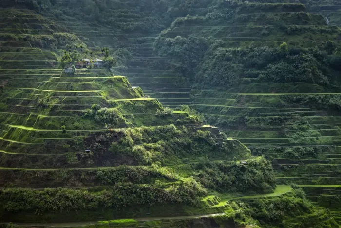 Framed Print : Asia, South East Asia, Philippines, Cordilleras, Banaue; UNESCO World heritage listed Framed Print : Asia, South East Asia, Philippines, Cordilleras, Banaue; UNESCO World heritage listed