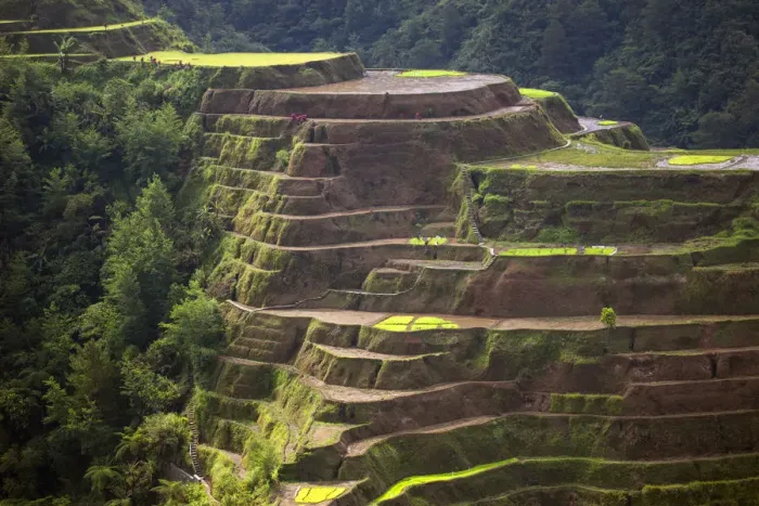 Framed Print : Asia, South East Asia, Philippines, Cordilleras, Banaue; UNESCO World heritage listed Framed Print : Asia, South East Asia, Philippines, Cordilleras, Banaue; UNESCO World heritage listed