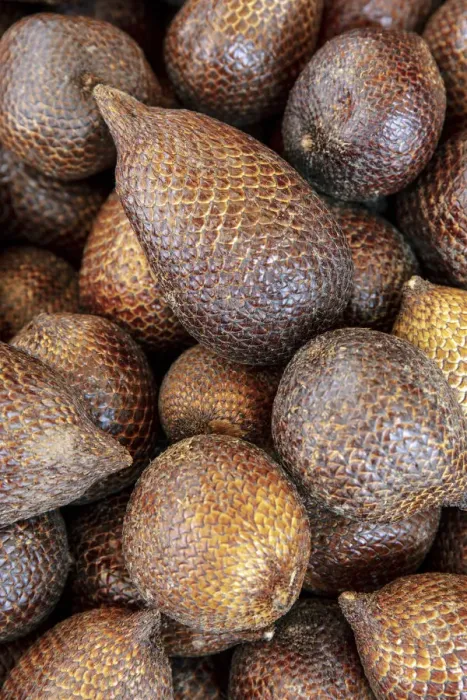 Framed Print : Asia, Southeast Asia, Indonesia, Maluku, Seram island, Salak or snake fruit (Salacca Framed Print : Asia, Southeast Asia, Indonesia, Maluku, Seram island, Salak or snake fruit (Salacca