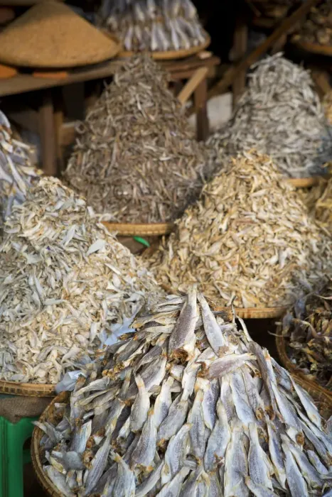 Framed Print : Asia, Southeast Asia, Myanmar, Sagaing, Monywa, dried fish for sale in the market Framed Print : Asia, Southeast Asia, Myanmar, Sagaing, Monywa, dried fish for sale in the market