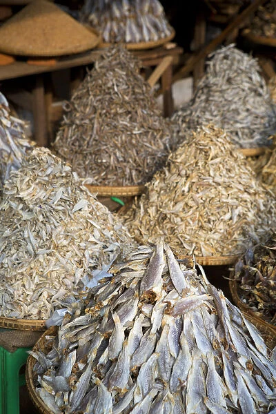 Asia, Southeast Asia, Myanmar, Sagaing, Monywa, dried fish for sale in the market