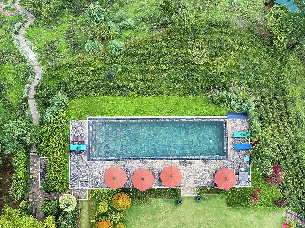 Asia, Sri Lanka, Nuwara Eliya; aerial view of swimming pool and tea bushes at a tea estate hotel