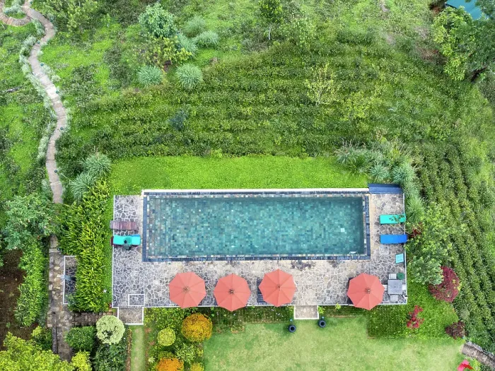 Framed Print : Asia, Sri Lanka, Nuwara Eliya; aerial view of swimming pool and tea bushes at a tea estate hotel Framed Print : Asia, Sri Lanka, Nuwara Eliya; aerial view of swimming pool and tea bushes at a tea estate hotel