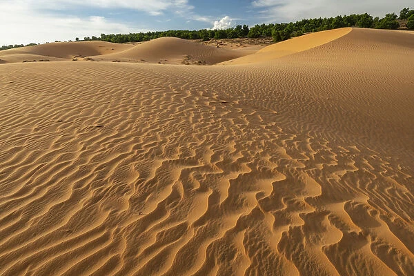 Asia, Vietnam, Binh Thuan Province, Phan Thiet, sand dune landscape