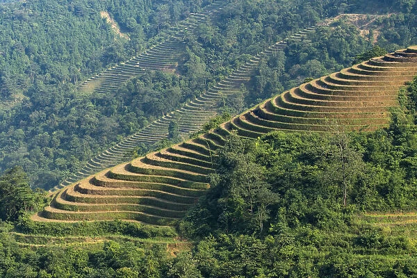 Asia, Vietnam, Hoang Lien Son Mountains, Sa Pa