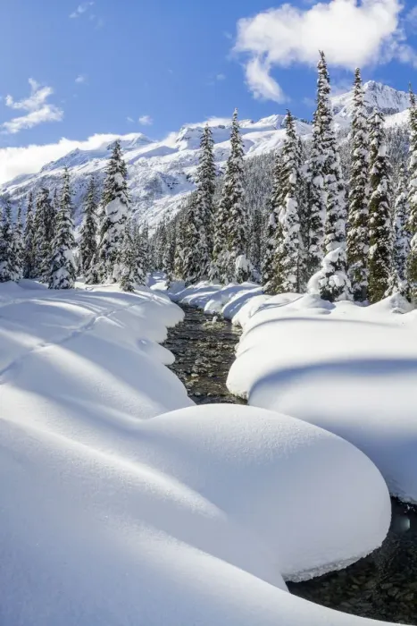 Framed Print : Asulkan valley after a winter snowfall. Roger pass, British Columbia, Canada Framed Print : Asulkan valley after a winter snowfall. Roger pass, British Columbia, Canada