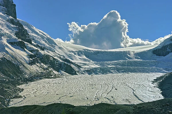 Athabasca Glacier, Jasper National Park, Alberta, Canada