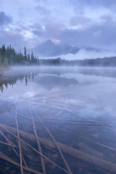 Atmospheric misty morning in the Canadian Rockies, Herbert Lake, Banff National Park