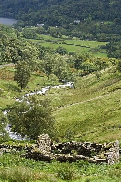 August 2008. Wales, Conwy, Snowdonia. The Afon Cwm Llan in spate tumbles