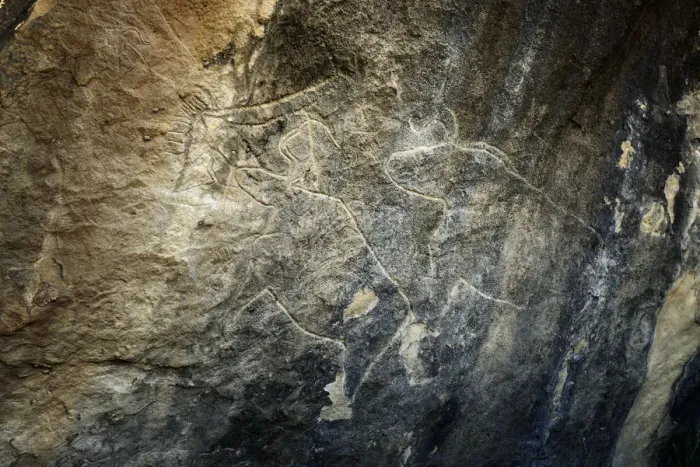 Framed Print : Aurochs. Gobustan Rock Art Cultural Landscape Reserve has an outstanding collection Framed Print : Aurochs. Gobustan Rock Art Cultural Landscape Reserve has an outstanding collection