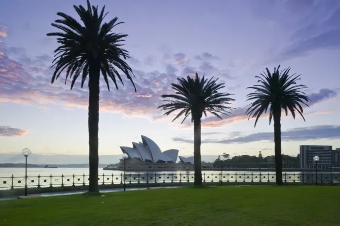Framed Print : Australia, New South Wales, Sydney, Sydney Opera House through palms