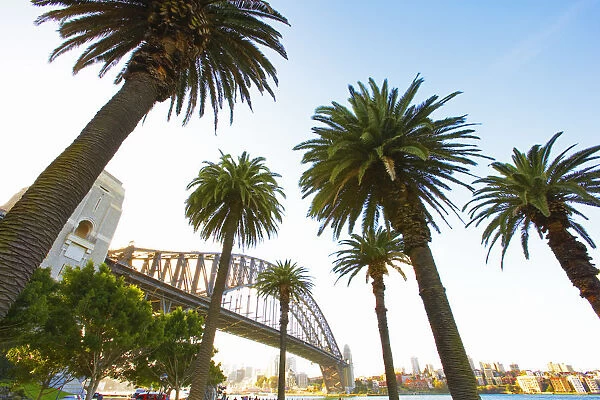 Australia, New South Wales, Sydney, Sydney Harbour Bridge, Low view with palm trees
