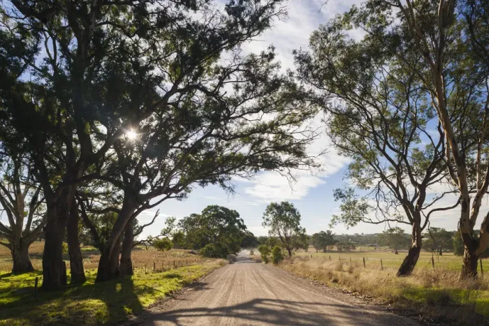 Framed Print : Australia, South Australia, Barossa Valley, Mount Pleasant, country road Framed Print : Australia, South Australia, Barossa Valley, Mount Pleasant, country road