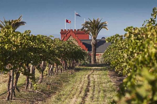 Australia, South Australia, Barossa Valley, Tanunda, Chateau Tanunda Estate Winery