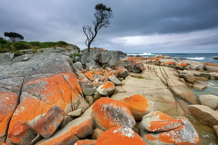 Framed Print : Australia, Tasmania, Binalong Bay Framed Print : Australia, Tasmania, Binalong Bay