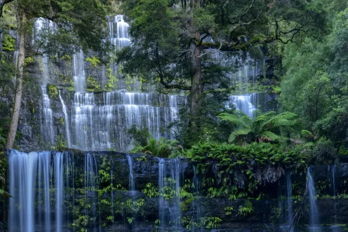 Framed Print : Australia, Tasmania, Central Highlands, Mount Field National Park, Russel Falls Framed Print : Australia, Tasmania, Central Highlands, Mount Field National Park, Russel Falls