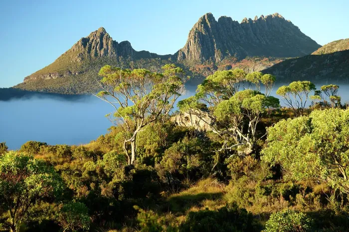 Framed Print : Australia, Tasmania, Cradle Mountain, Lake St Clair National Park, Dove lake Framed Print : Australia, Tasmania, Cradle Mountain, Lake St Clair National Park, Dove lake