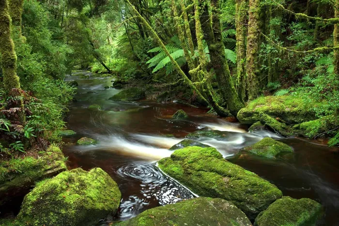 Framed Print : Australia, Tasmania, Franklin-Gordon Wild Rivers National Park, Nelson Falls creek Framed Print : Australia, Tasmania, Franklin-Gordon Wild Rivers National Park, Nelson Falls creek