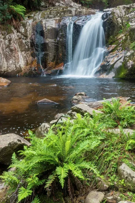 Framed Print : Australia, Tasmania, Groom river, Halls falls Framed Print : Australia, Tasmania, Groom river, Halls falls
