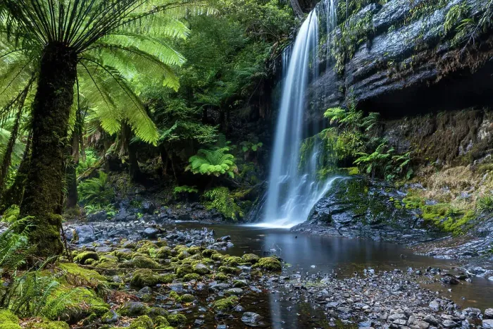 Framed Print : Australia, Tasmania, Mount Field National Park, Russell Falls Framed Print : Australia, Tasmania, Mount Field National Park, Russell Falls