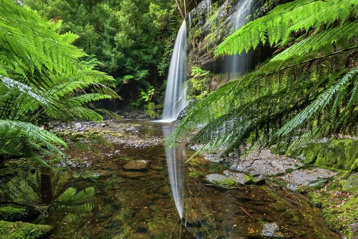 Framed Print : Australia, Tasmania, Mount Field National Park, Russell Falls
