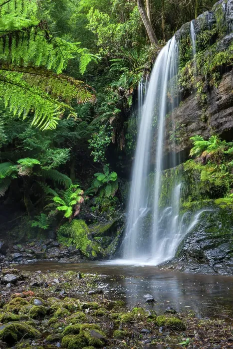 Framed Print : Australia, Tasmania, Mount Field National Park, Russell Falls Framed Print : Australia, Tasmania, Mount Field National Park, Russell Falls