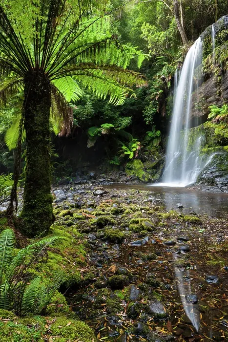 Framed Print : Australia, Tasmania, Mount Field National Park, Russell Falls Framed Print : Australia, Tasmania, Mount Field National Park, Russell Falls