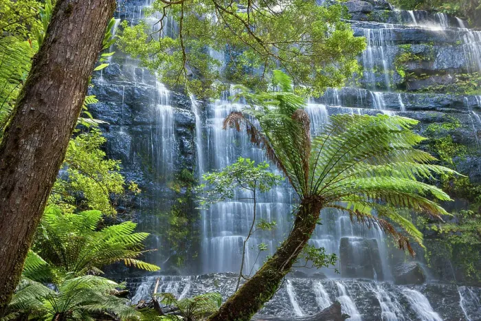 Framed Print : Australia, Tasmania, Mount Field National Park, Russell Falls Framed Print : Australia, Tasmania, Mount Field National Park, Russell Falls