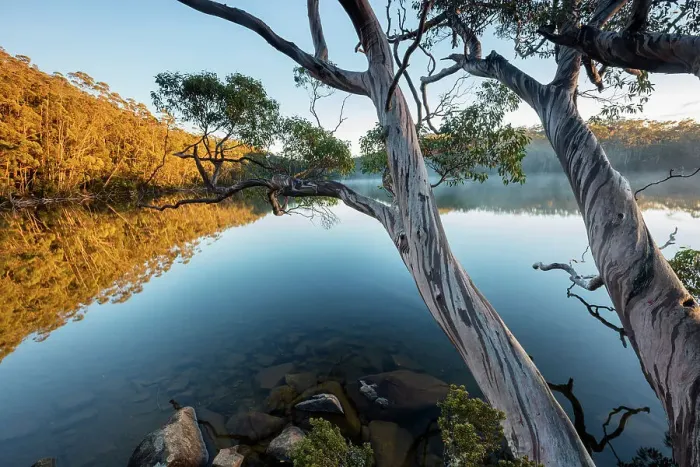 Framed Print : Australia, Tasmania, Mount Field National Park, Lake Dobson Framed Print : Australia, Tasmania, Mount Field National Park, Lake Dobson