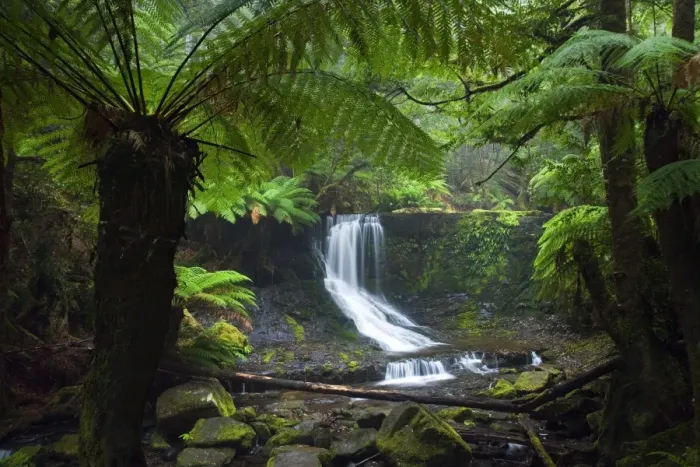 Framed Print : Australia, Tasmania, Mt Field National Park. Horseshoe Falls Framed Print : Australia, Tasmania, Mt Field National Park. Horseshoe Falls