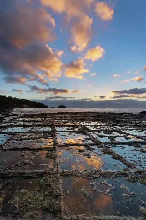 Framed Print : Australia, Tasmania, Tasman Peninsula, Tessellated Pavement