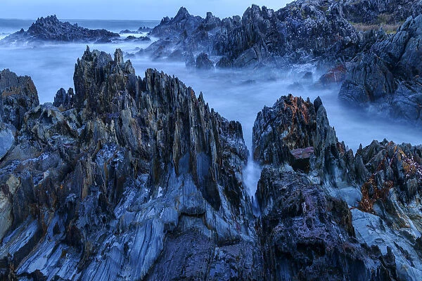 Australia, Tasmania, West Coast, the rocky Tarkine Coast