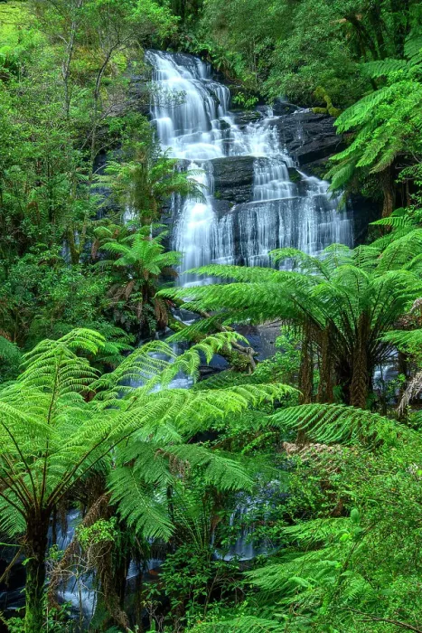 Framed Print : Australia; Victoria; Great Ocean Road, Apollo, Otway National Park, Triplet falls Framed Print : Australia; Victoria; Great Ocean Road, Apollo, Otway National Park, Triplet falls