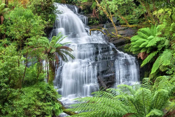 Framed Print : Australia, Victoria, Great Otway National Park, Triplet Falls Framed Print : Australia, Victoria, Great Otway National Park, Triplet Falls