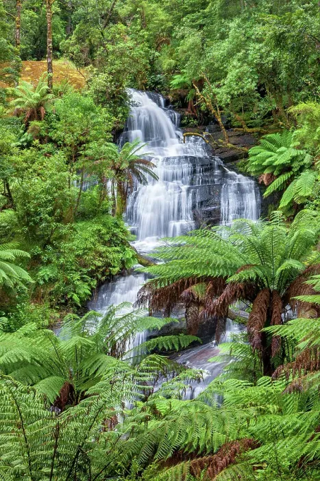 Framed Print : Australia, Victoria, Great Otway National Park, Triplet Falls